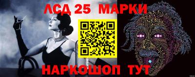 гашик Кандалакша