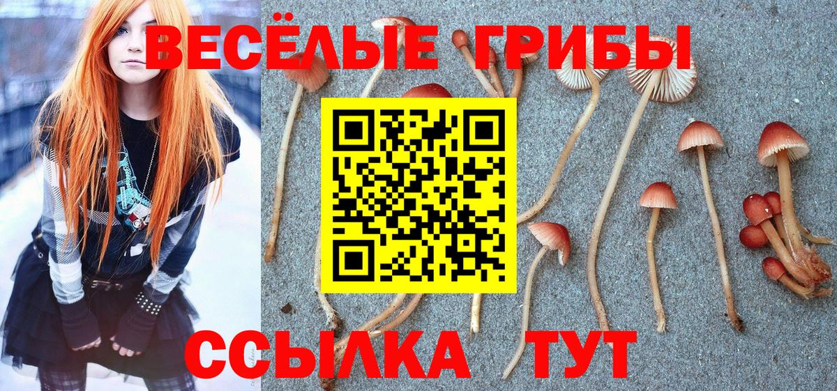 Псилоцибиновые грибы мухоморы Кузнецк
