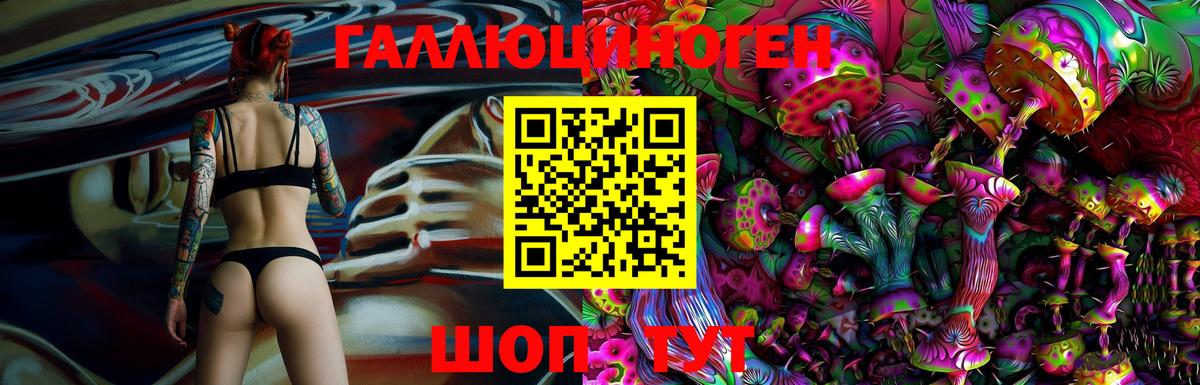Кузнецк  Псилоцибиновые грибы Psilocybine cubensis  Вход с VPN 